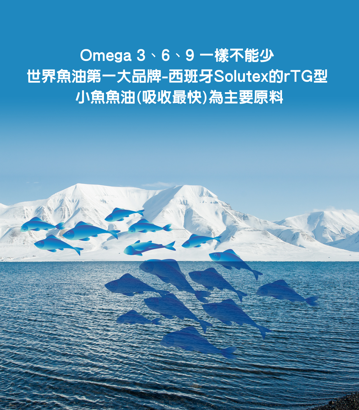 歐米加369第二代